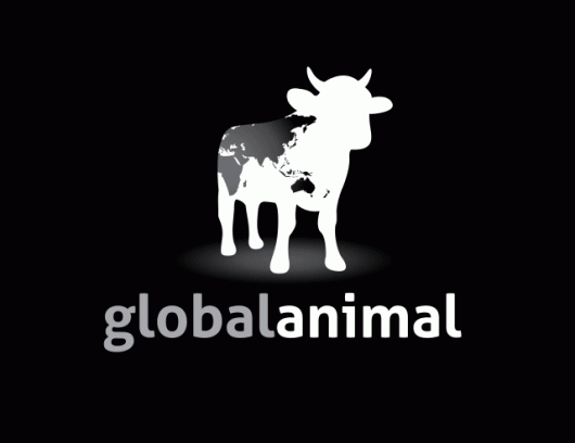Ace Bourke joins Panel Discussion at Global Animal at University of Wollongong this Friday 