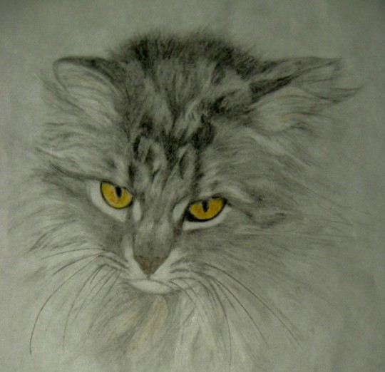 Hermoine the Cat painting