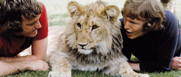 a_lion_called_christian2